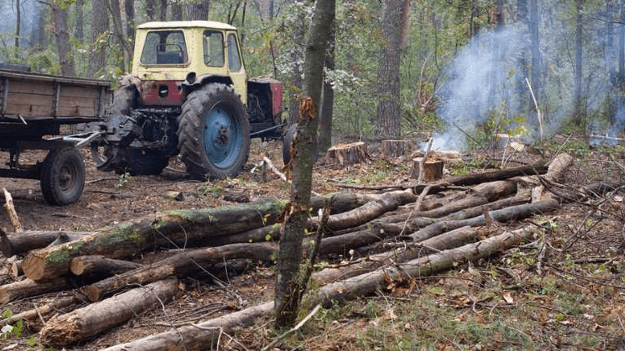 How Are Lawn Tractor Mulchers Transforming Lawn Aesthetics?