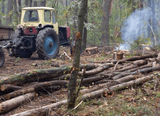 How Are Lawn Tractor Mulchers Transforming Lawn Aesthetics?