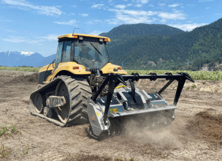 What Are the Various Kinds of Fecon Mulching Head Teeth, and How Do They Vary in Applications?